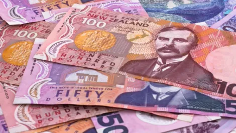Xero seeks short-term cash cover