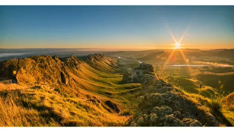 Soda Inc creates incubator partnership for Hawke's Bay businesses